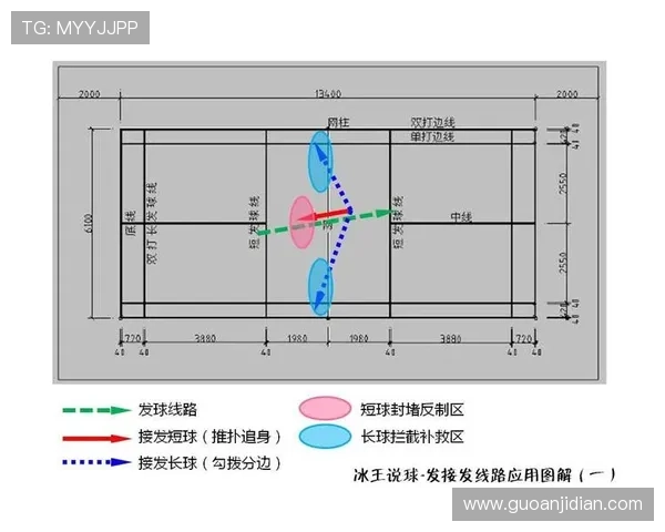 南京羽毛球队战术解析与对比研究揭示竞技优势与不足之处