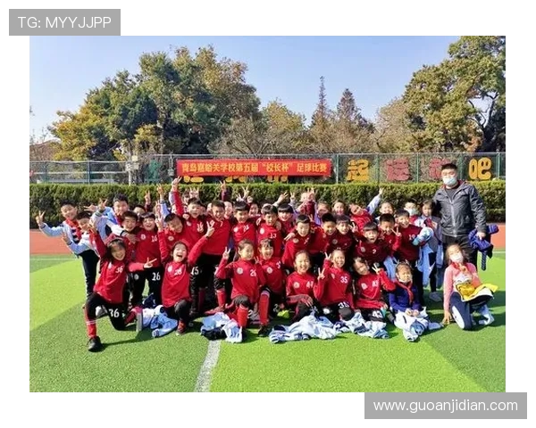 丹凤足球明星名单及精彩瞬间回顾，见证荣耀与梦想的交汇时刻