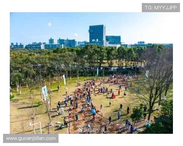 刘磊独家分享网球心得与技巧助你提升球技的全面指南