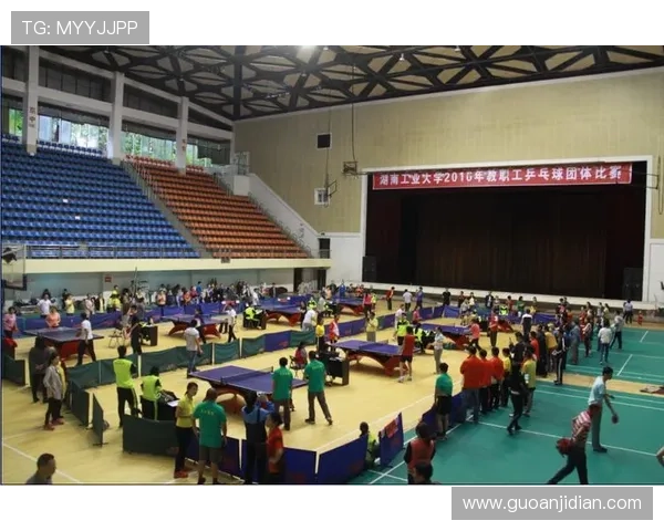 南京乒乓球队转型之路的挑战与机遇全景揭秘